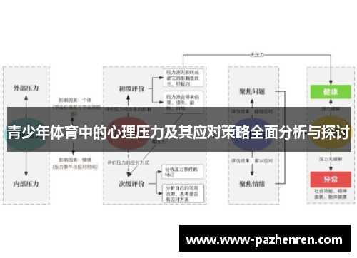青少年体育中的心理压力及其应对策略全面分析与探讨