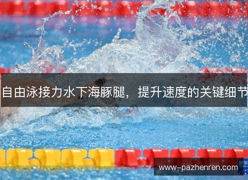 自由泳接力水下海豚腿，提升速度的关键细节
